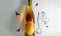 CréaVins de Fruits - Hydromel « Cuvée des Druides »