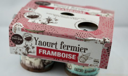 GAEC Les Perce-neige - Pack de 4 yaourts à la framboise x4