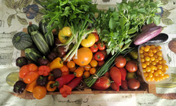 Nature et Saveurs - Ferme Aquaponique et Permacole Astérienne - Grand Panier de légumes astériens