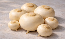 Nature et Saveurs - Ferme Aquaponique et Permacole Astérienne - Navets polaires – racines pures, calibre naturel