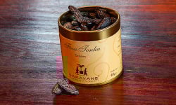 SARAVANE - Feve Tonka