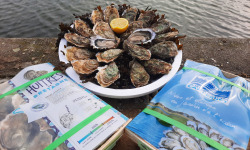 Les Huîtres du Grand Sud - Bourriche 50 Huîtres n°3 – Arcachon & Ria d’Etel
