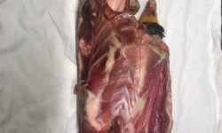 Des Poules et des Vignes à Bourgueil - Carcasse d’oie
