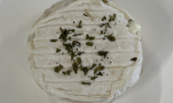 Morgane Man - Histoire de chèvres - P'tit Marius Ail des ours 160g