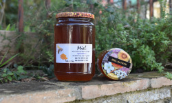 La Truite du Mézenc - Miel de Thym Garrigues - 500g