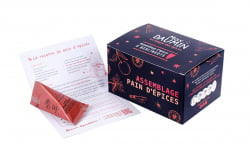 Epices Max Daumin - Coffret Assemblage Pain d'Epices