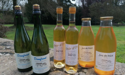 Domaine Fourmond Lemorton - 100% Poire : Poiré Domfront, Jus de Poire et Apéritif  x6