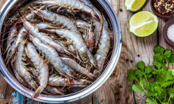 Agriloops - Gambas de Bretagne 500g (calibre 30-50)