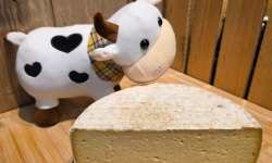 Fromagerie du Pichet - La Tomme Fermière 900g