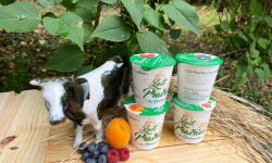 Lait Prairies du Boulonnais - Assortiment Yaourt fermiers brassé aux fruits d'été x4