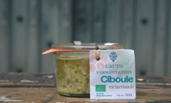 ChâteauFer - Tartinade d'oignon ciboule - Lactofermentation