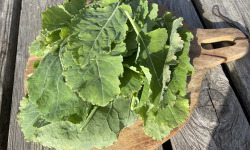 Ferme Sinsac - panier repas de printemps