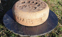 Maxime Bajas – Ferme De L’Aouda - Fromage de brebis PéDescaous –  Bergerie 5 mois – tomme entière 4,8kg