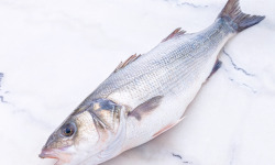 Poissonnerie La Piriacaise - Bar de ligne entier vidé - 1,5kg