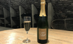 Domaine Michel & Marc ROSSIGNOL - Crémant de Bourgogne