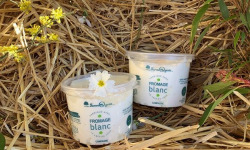 FermOgout - Fromage Blanc Campagne 500g Onctueux - Lot de 2