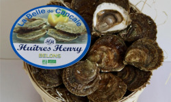Huîtres Henry - 24 Huîtres Plates Belons BIO Grosses