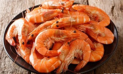 Brest Marée - Crevettes Roses cuites - 2kg
