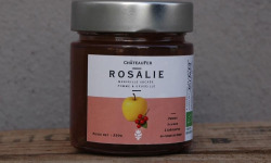 ChâteauFer - Rosalie, préparation sucrée Pomme-Groseille
