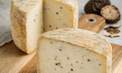 Maison Agour - Fromage de brebis à la truffe d'été 1,2% - 1kg