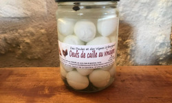 Des Poules et des Vignes à Bourgueil - 24 œufs de caille au vinaigre