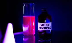 Vivant Kombucha - Kombucha Shiso Pourpre Bio x12