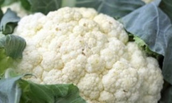 ChâteauFer - Chou-fleur