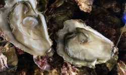 Ets Berder - Huîtres de Pen Al Lann - Huîtres creuses de Pen Al Lann "Tarzellou" N°2x96