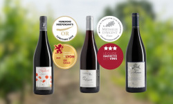 Domaine de la Chopinière du Roy - Coffret cadeau de Noël "A la découverte des vins rouges de Loire "- 3 x 75 cl