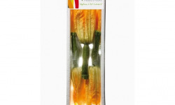 Maison Sales - Végétaux d'Art Culinaire - -8- Courgette Fleur Femelle - 5 Pièces