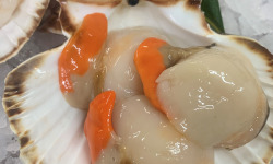 Saveurs Océanes IO - Noix de saint Jacques – 100g
