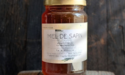 Elevage de Cochons en Forêt et Produits du Terroir Jurassien - Miel de Sapin - 500g
