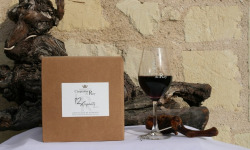 Domaine de la Chopinière du Roy - BIB de Vin Rouge Saint Nicolas de Bourgueil 2024 - 3 Litres