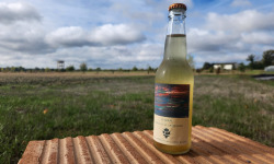 ChâteauFer - Kombucha fenouil 33cl