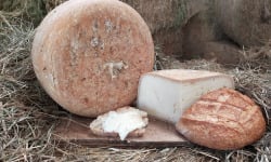 La ferme Lassalle - Fromage de Brebis AOP Ossau-Iraty Fermier de Printemps - le quart de 1kg - 6 mois