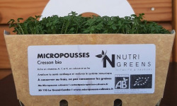Ma Micropousse culinaire - Micro pousses de cresson Bio 8 barquettes