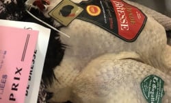 La Guyotte Ferme Bressane - [Précommande] La dinde de Bresse AOP Prête à cuire