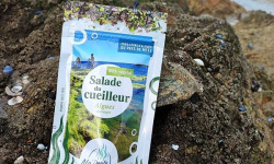 Echos nature - Salade du cueilleur - 6x30g