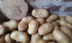Ferme de Cernunnos - pommes de terre "Charlotte" - 5 kg