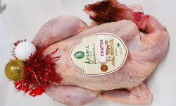 Ferme de la Paumerais - [Précommande] CHAPON DE LA FERME - 3 Kg (x1)