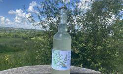 Ferme Sinsac - Pétillant de Verveine sans alcool