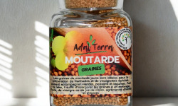 Adal Terra - Graines de Moutarde Biodynamiques 100G