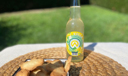 L’Echo Paysan - Limonade au Citron Bio 33cl