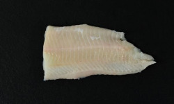 Poissonnerie Robert - Filet de Loup 200g
