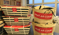 Huîtres Prat-Ar-Coum Alain Madec - Huîtres creuses PRAT-AR-COUM  50 N° 2