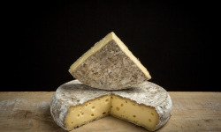 Fromagerie Bouchet - Tome des Bauges AOP - Lait cru - 600g (1/2 tome)
