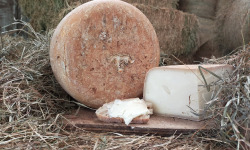 La ferme Lassalle - Fromage de Brebis AOP Ossau-Iraty Fermier de Printemps Boule Entière - 6 mois - 4,8kg