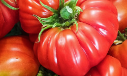 Ferme Joos - Tomates Coeur de boeuf