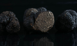 ALENA la Truffe d'Aquitaine - Truffe noire du Périgord fraîche (tuber melanosporum) - 500g