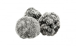 JMC Truffes - Brisure de truffe noire tuber melanosporum 500 g